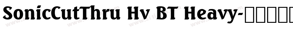 SonicCutThru Hv BT Heavy字体转换